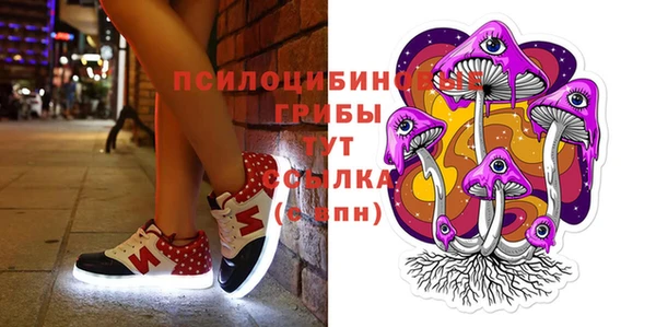 ГАЛЛЮЦИНОГЕННЫЕ ГРИБЫ Беслан